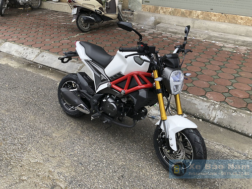 Ducati monster mini 110cc clearance 2019