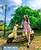 Xe ga 50cc Scoopy đời mới