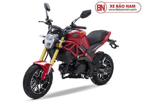 Mini deals ducati monster