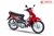 Xe Máy Wave Halim 50cc Sumotor