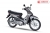 Xe Máy Wave Halim 50cc Sumotor