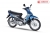 Xe Máy Wave Halim 50cc Sumotor